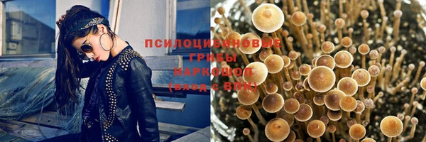 сатива Балабаново