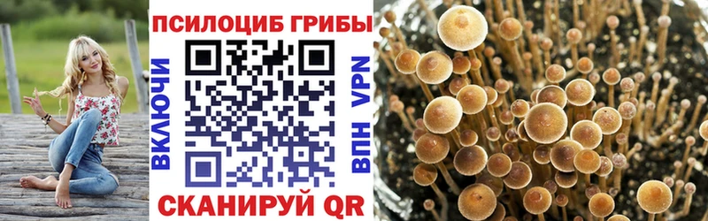 наркошоп  Белоусово  Галлюциногенные грибы MAGIC MUSHROOMS 